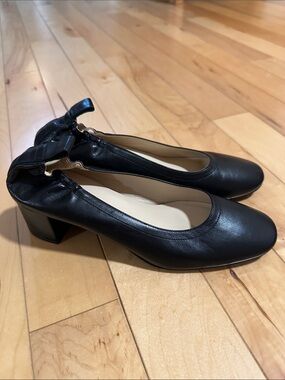 Everlane Black Italian Leather Day Heel